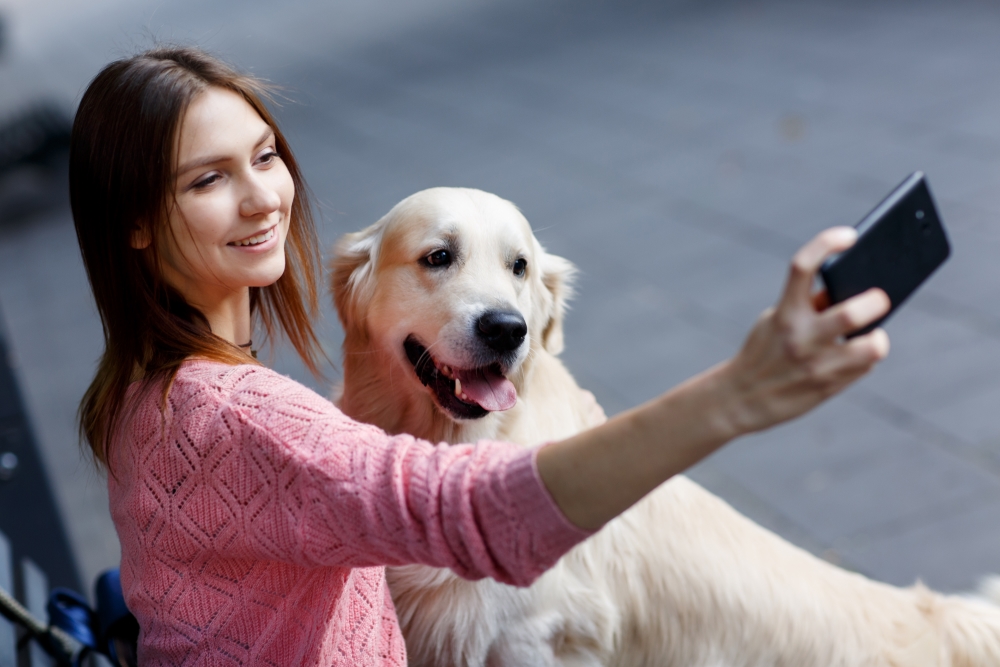 Remote Dog Training Online or by Phone