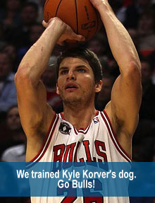 korver