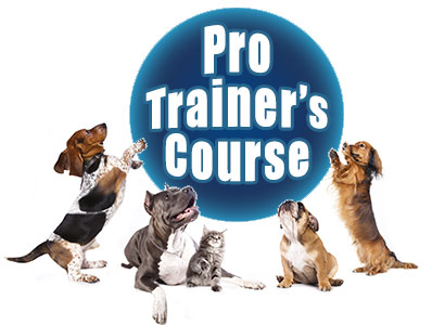 protrainergang